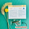 Coping Skills Essentials Kit
